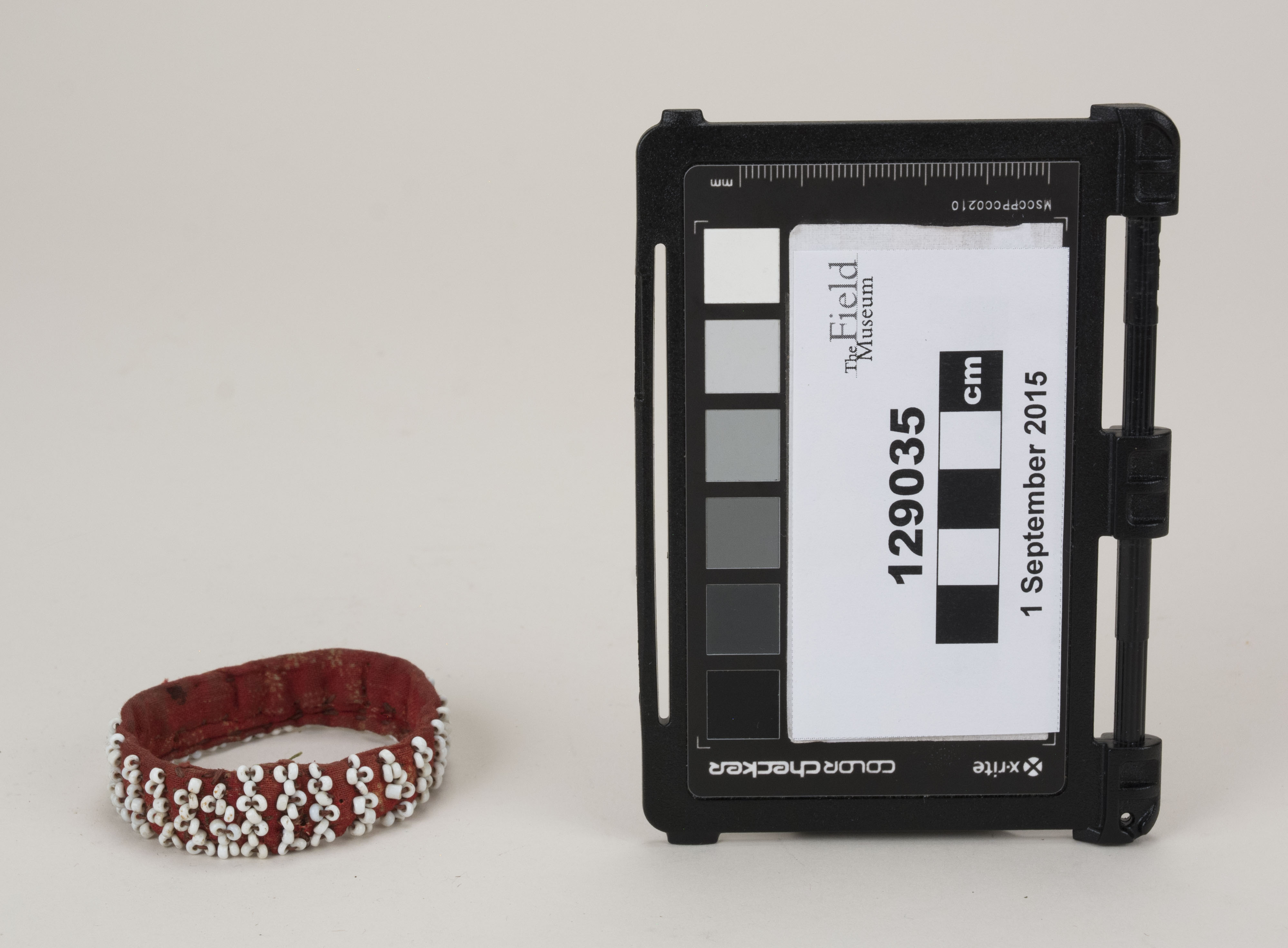 Front view (c) Field Museum of Natural History - CC BY-NC 4.0